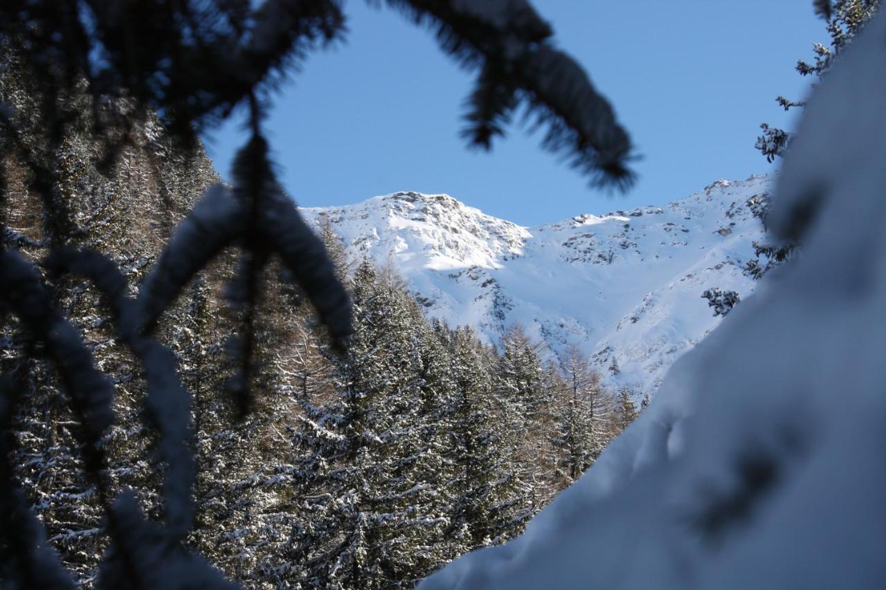 Chez Pierre Leilighet Praz-de-Fort Eksteriør bilde
