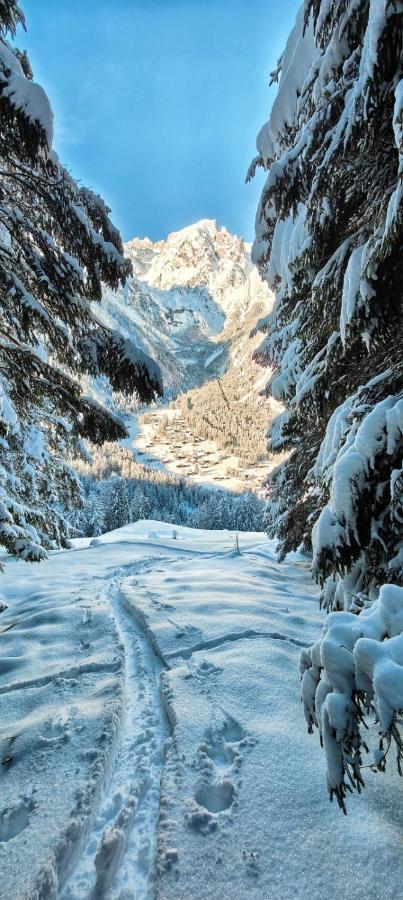 Chez Pierre Leilighet Praz-de-Fort Eksteriør bilde