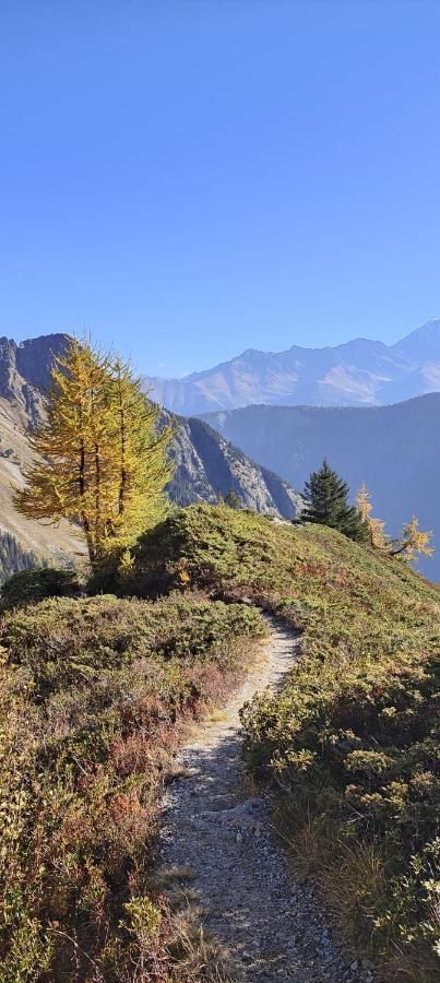 Chez Pierre Leilighet Praz-de-Fort Eksteriør bilde