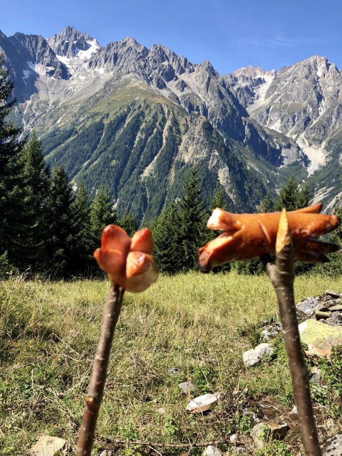 Chez Pierre Leilighet Praz-de-Fort Eksteriør bilde