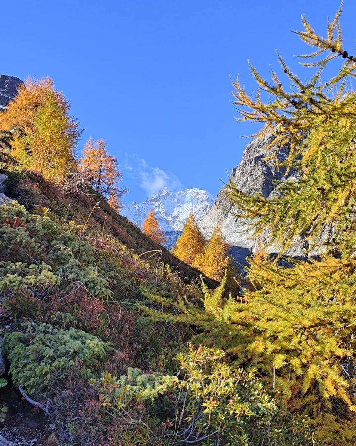 Chez Pierre Leilighet Praz-de-Fort Eksteriør bilde